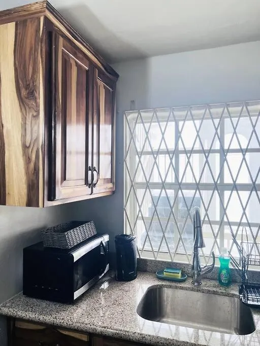 Blue Laventura Condo Near Hwt Кингстон